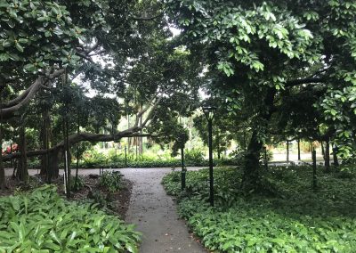 Botanical gardens