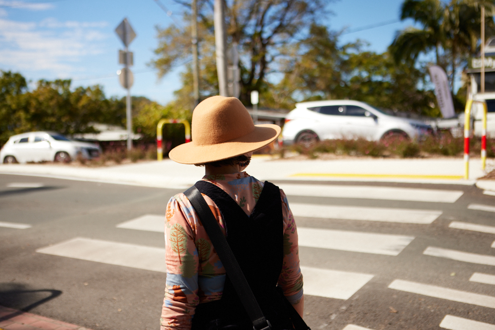 wombat-crossing-palmwoods