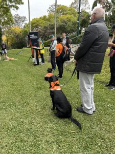 Celebrating with Guide Dogs Australia. Sequins marked the special occasiont