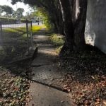 A narrow with fencing and a tree